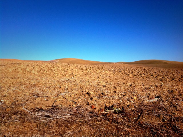 Nei dintorni di Córdoba